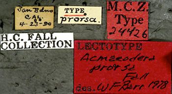 Media type: image;   Entomology 24426 Aspect: labels